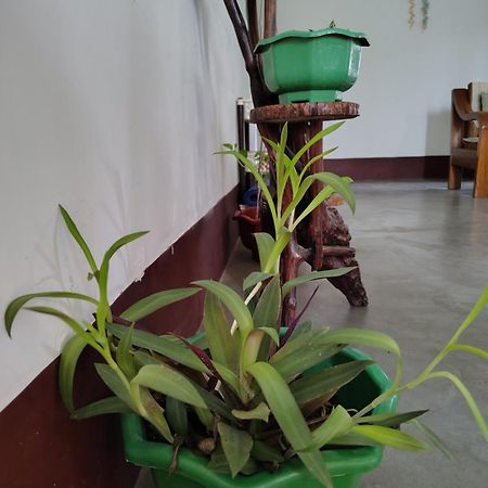 Gayatri Homestay Dibrugarh Exterior foto
